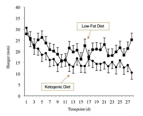 Keto diet